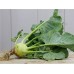 Organic Kohl Rabi Superschmelz
